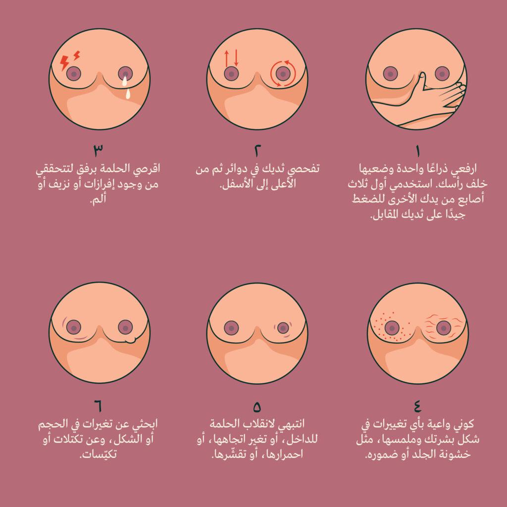 breast exam diagram Arabic